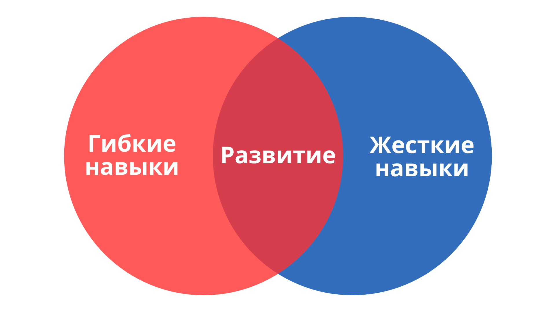 Гибкие навыки: какие нужны сотрудникам и как их прокачать